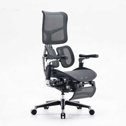 Ghế công thái học Sihoo AU DORO-S300 Ghế công thái học Sihoo AU DORO-S300
