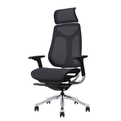 Ghế công thái học Ergonomic có tựa đầu IMOVE Ghế công thái học Ergonomic có tựa đầu IMOVE