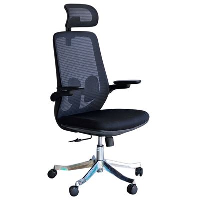 Ghế công thái học A2 lưng lưới ERCA2 Ghế công thái học A2 lưng lưới ERCA2